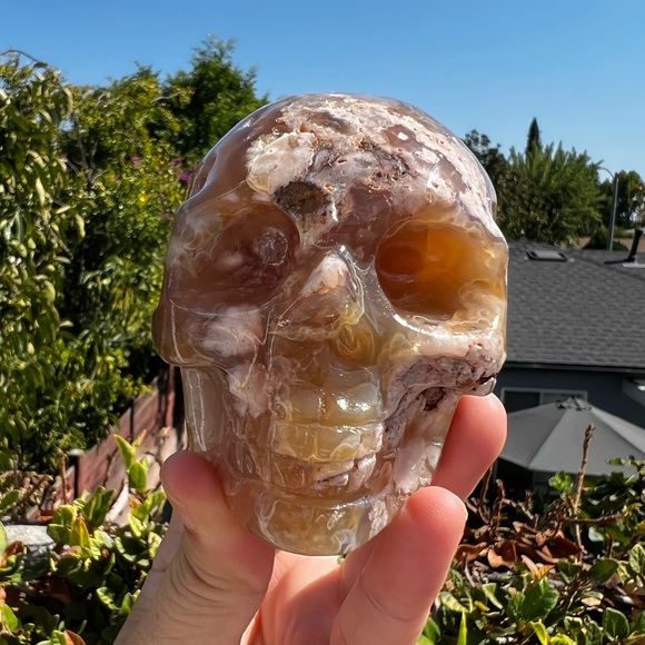 Flower Agate Skull - Sakura Agate - Picture 4 of 11